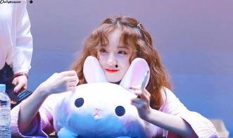 白鹿宋雨琦娱乐爆料,揭秘明星幕后故事